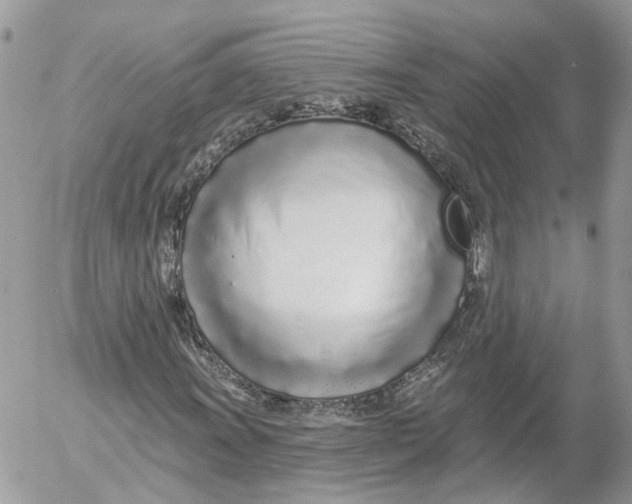 X0000052541011200507221420