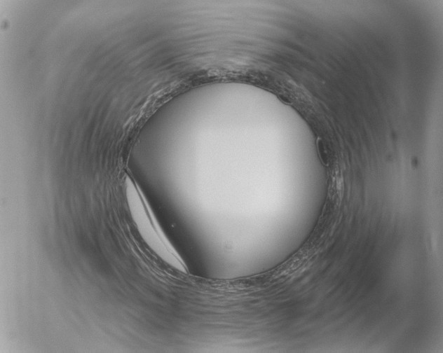 X0000052541012200507221420