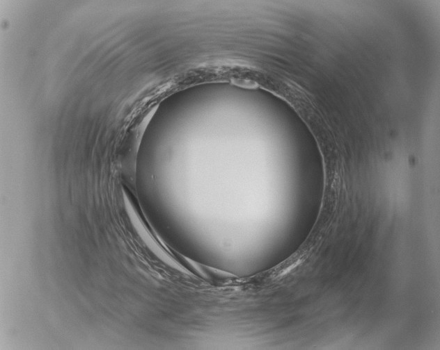 X0000052541014200507221420