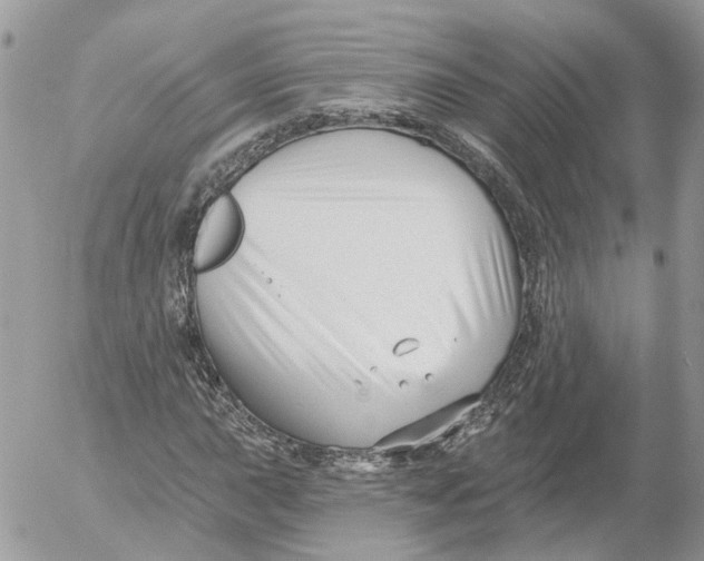 X0000052541015200507221420