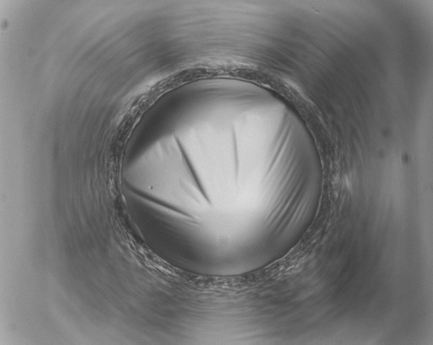 X0000052541016200507221420