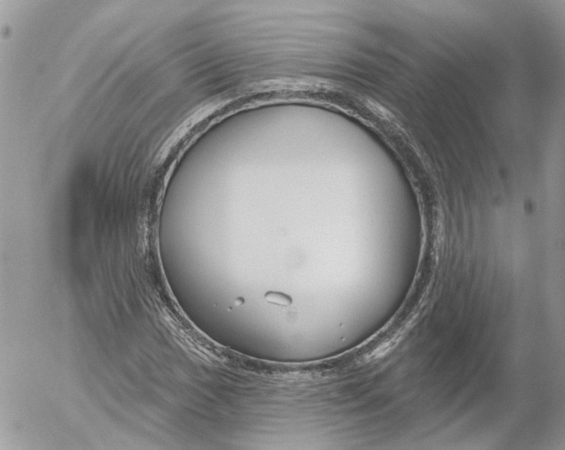 X0000052541017200507221420