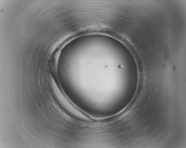 X0000052541018200507221420