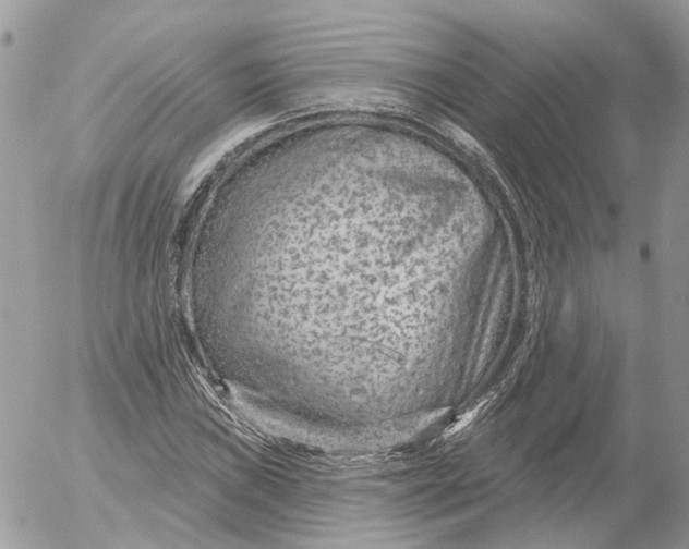 X0000052541019200507221420