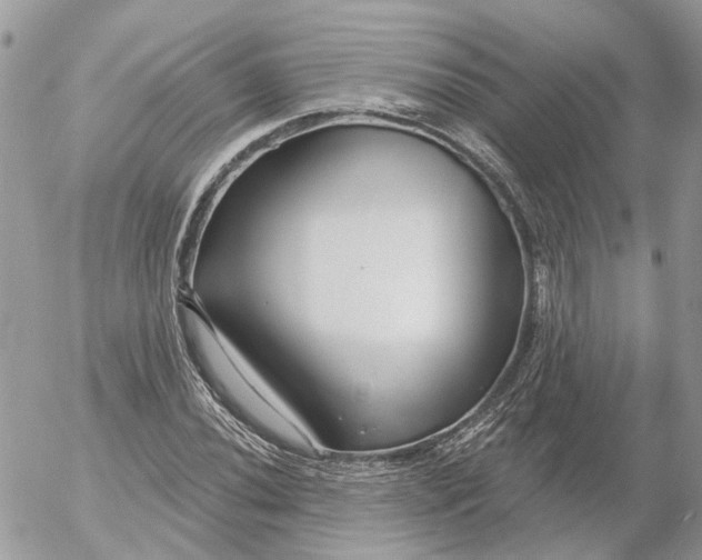 X0000052541020200507221420