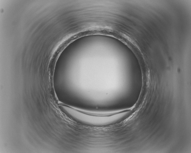 X0000052541021200507221420