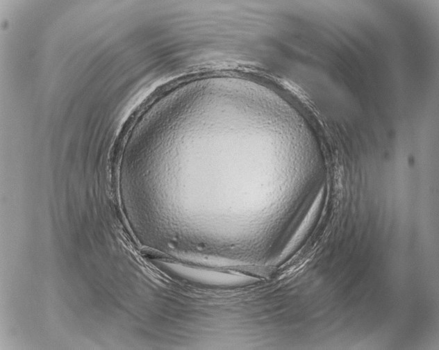 X0000052541023200507221420