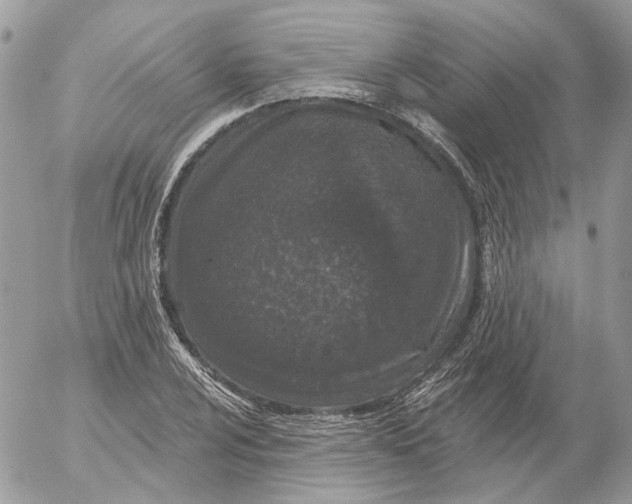 X0000052541024200507221420