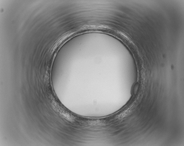 X0000052541025200507221420