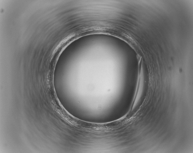 X0000052541026200507221420