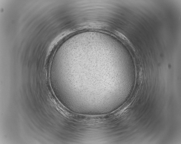 X0000052541027200507221420