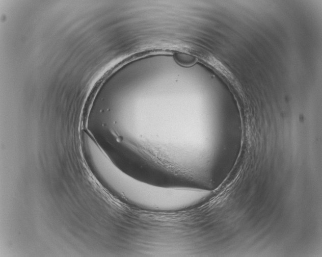 X0000052541028200507221420