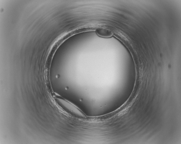 X0000052541029200507221420