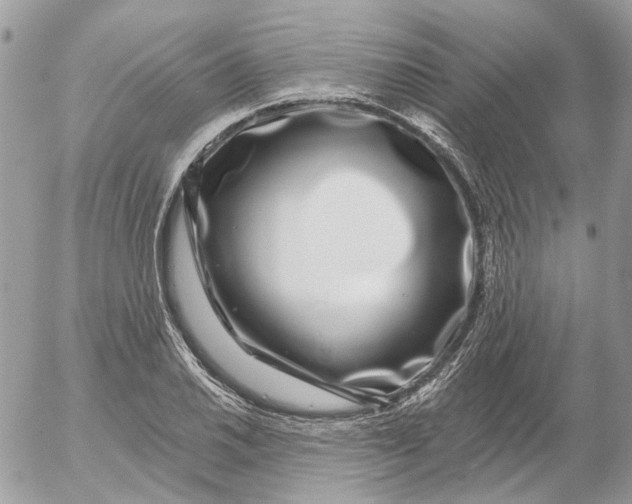 X0000052541030200507221420