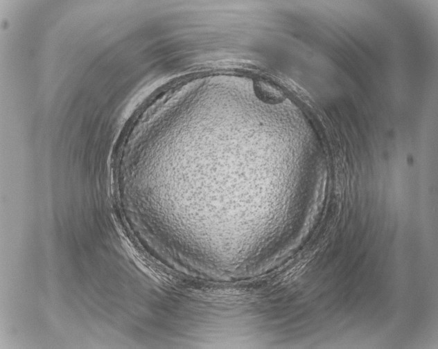 X0000052541031200507221420