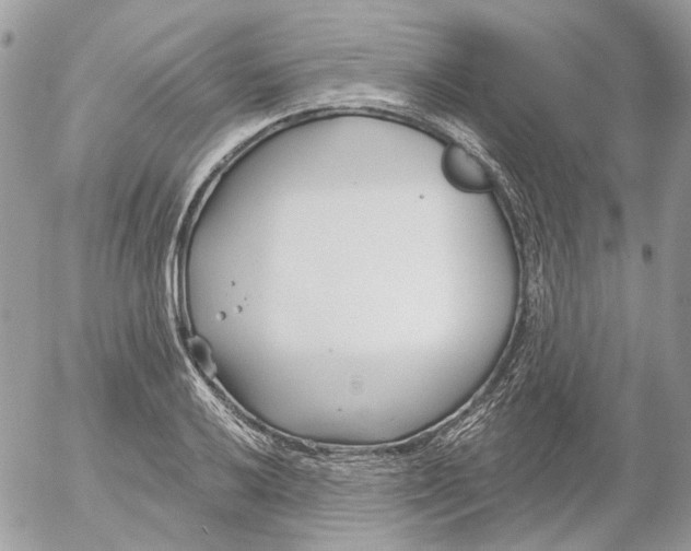 X0000052541032200507221420