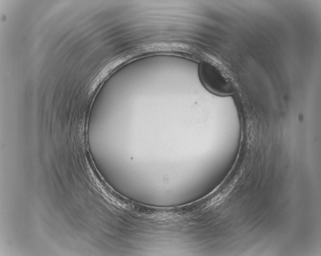 X0000052541033200507221420