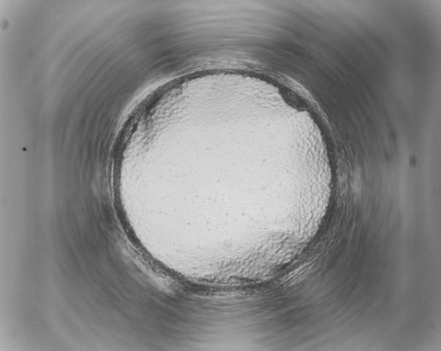 X0000052541035200507221420