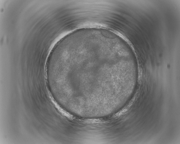 X0000052541037200507221420