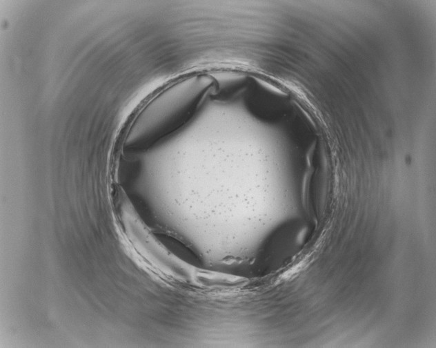 X0000052541038200507221420