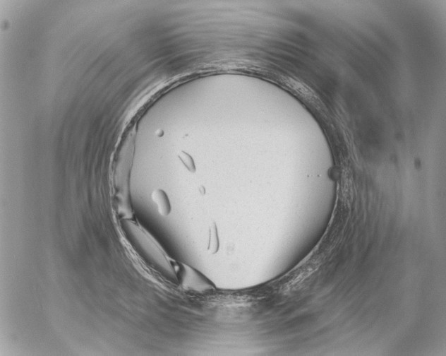 X0000052541039200507221420