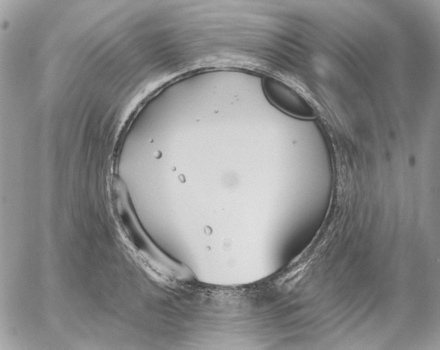 X0000052541040200507221420