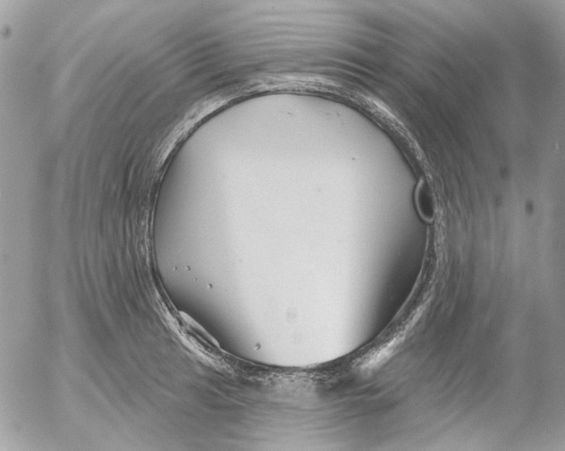 X0000052541041200507221420