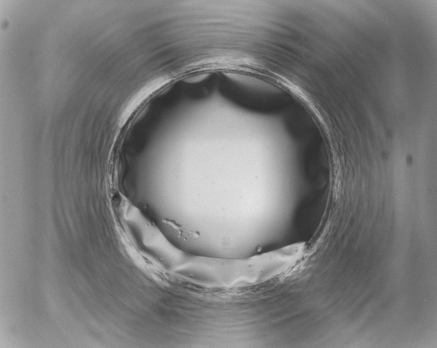 X0000052541042200507221421