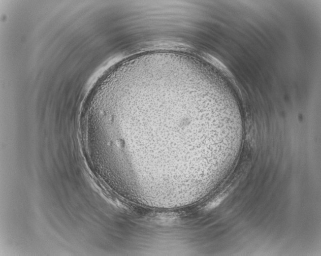 X0000052541043200507221421