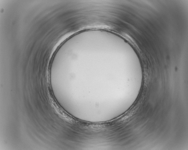 X0000052541044200507221421