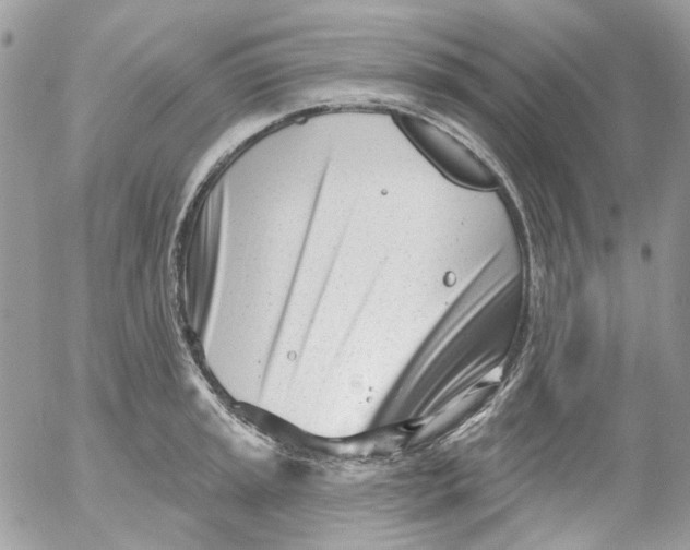 X0000052541045200507221421