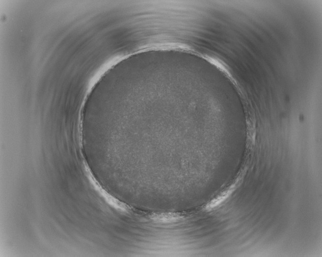 X0000052541046200507221421