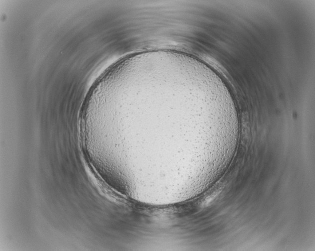 X0000052541047200507221421