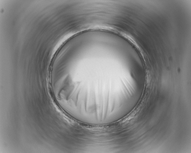 X0000052541048200507221421