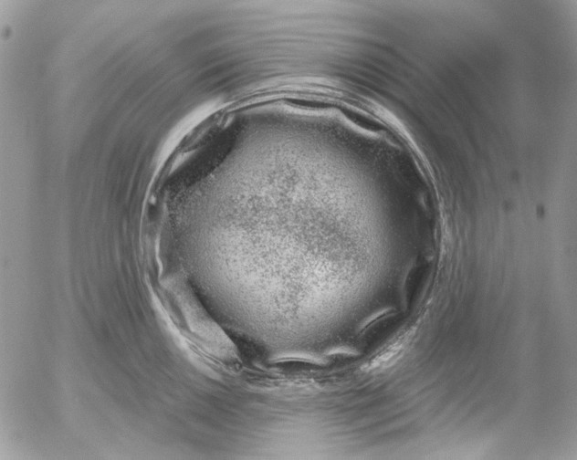 X0000052541050200507221421