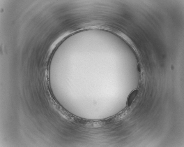 X0000052541051200507221421