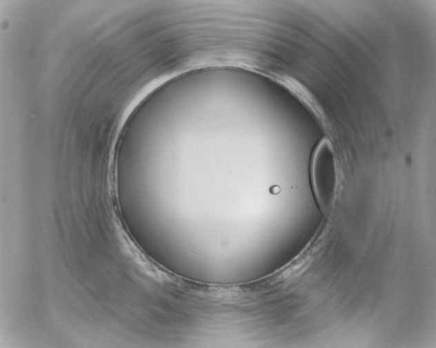 X0000052541052200507221421