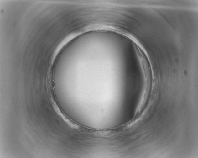 X0000052541053200507221421