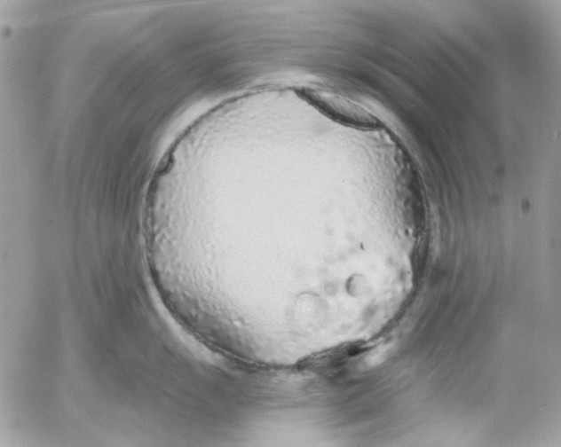 X0000052541055200507221421