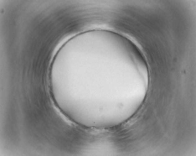 X0000052541056200507221421