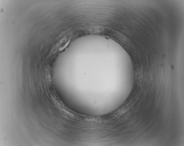 X0000052541058200507221420