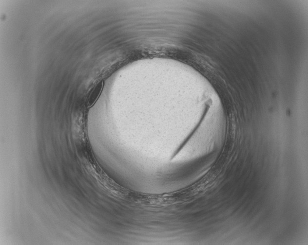 X0000052541060200507221420