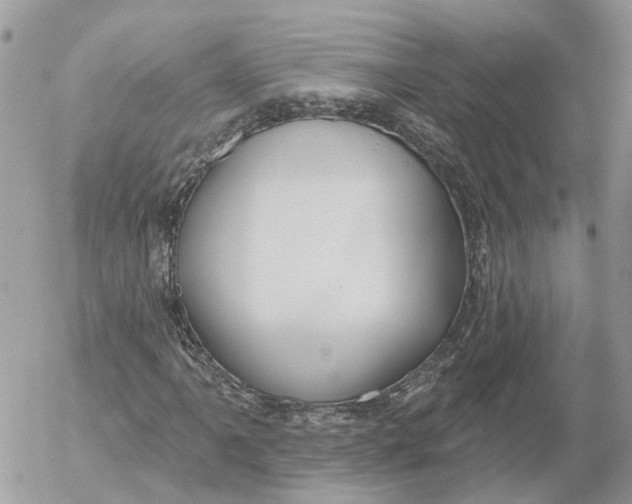 X0000052541061200507221420