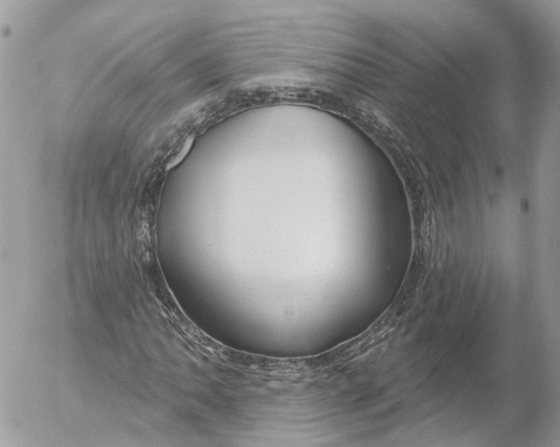 X0000052541062200507221420