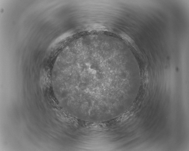 X0000052541063200507221420