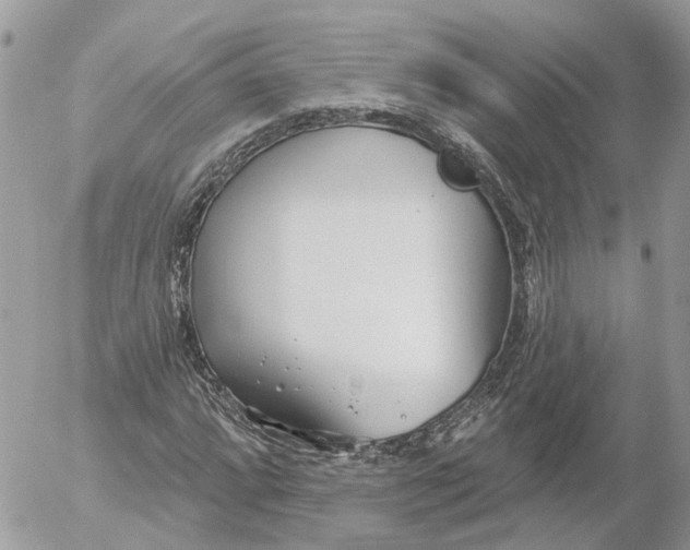 X0000052541064200507221420