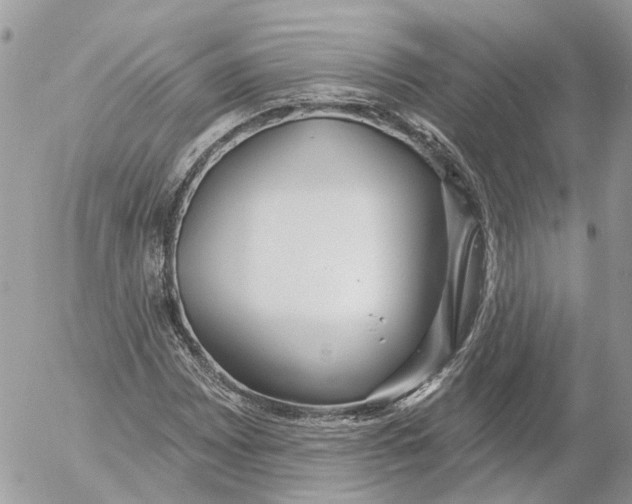 X0000052541065200507221420