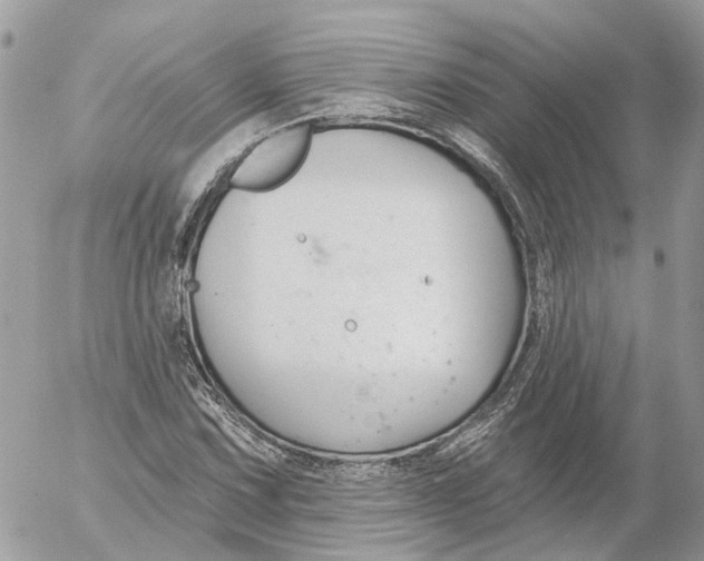 X0000052541067200507221420