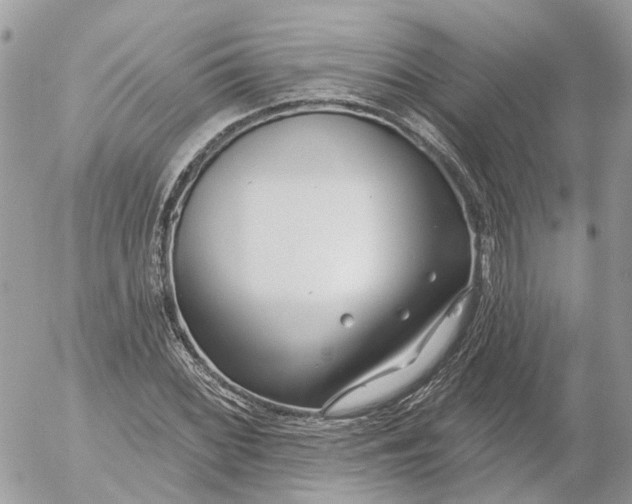 X0000052541068200507221420