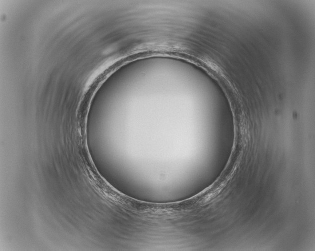 X0000052541070200507221420